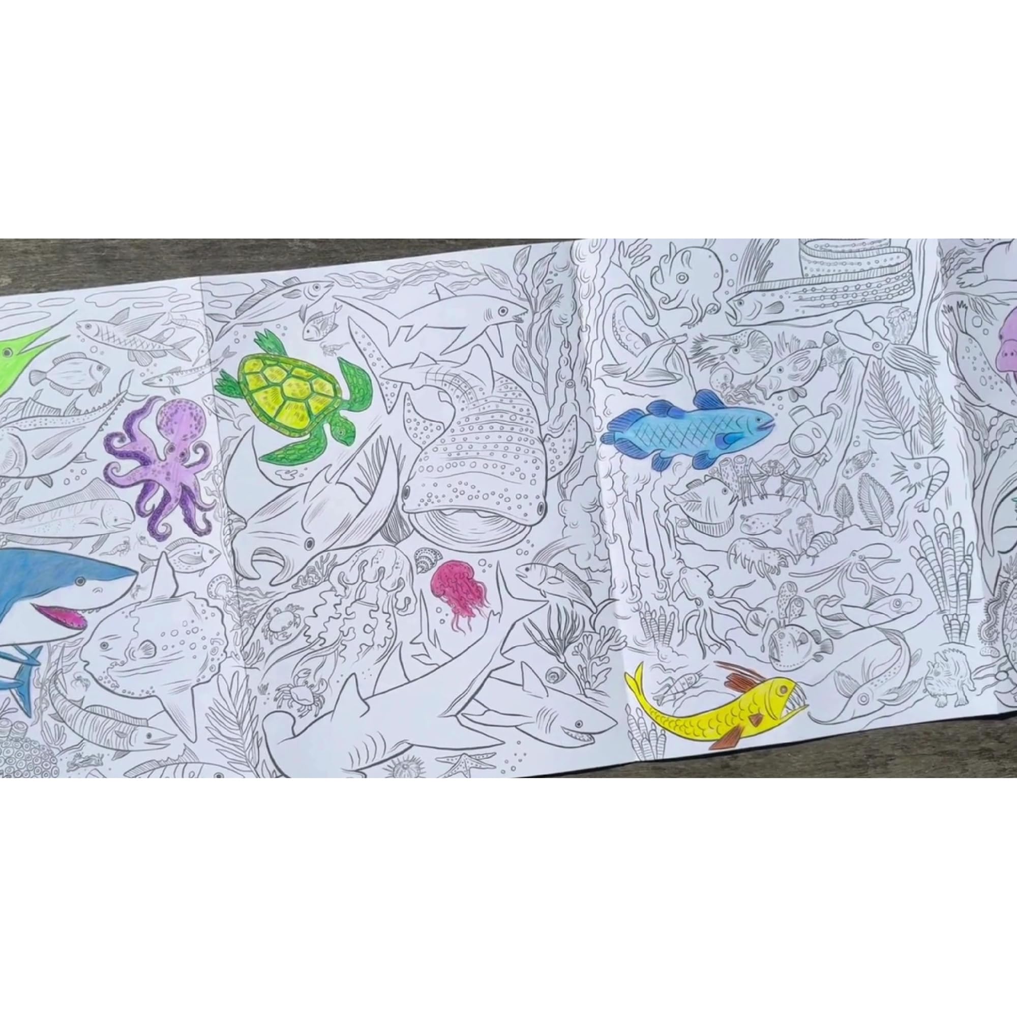 eeBoo Under The Sea Fold-Out Coloring Book – 39 Inch Mural with 50 Stickers for Kids Ages 3+