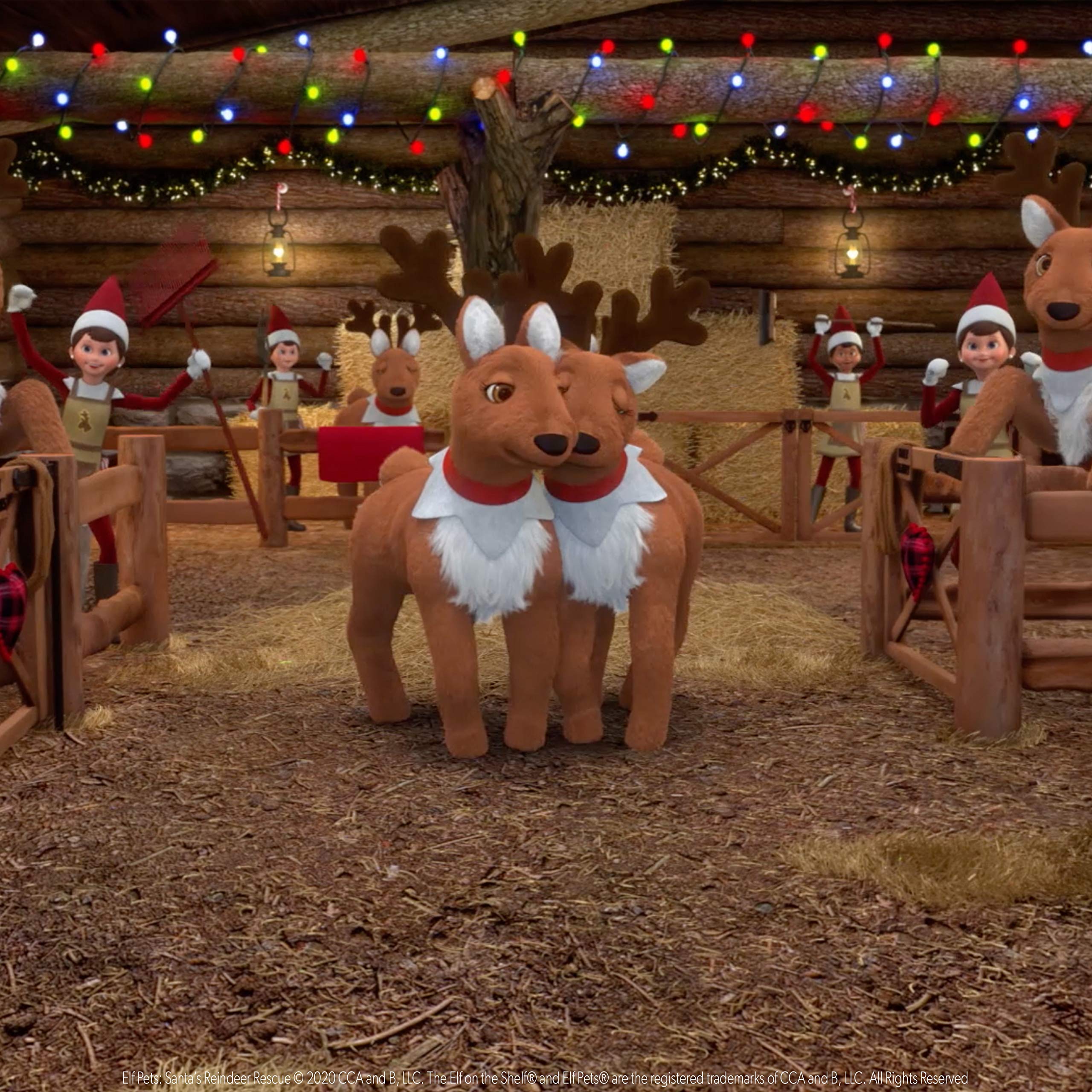 Elf Pets: Santa's Reindeer Rescue DVD – Animated Christmas Special with Sing-Along and Bonus Features