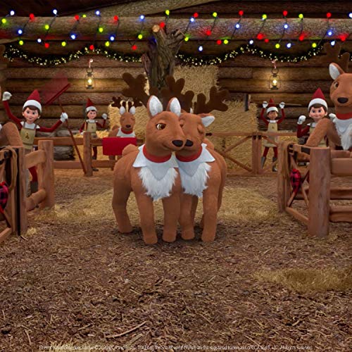 Elf Pets: Santa's Reindeer Rescue DVD – Animated Christmas Special with Sing-Along and Bonus Features