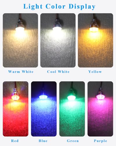 enwant Dollhouse Lighting Kit – AA Battery Holder with Mini LED Lamp and Switch, Warm White, 1 Pack