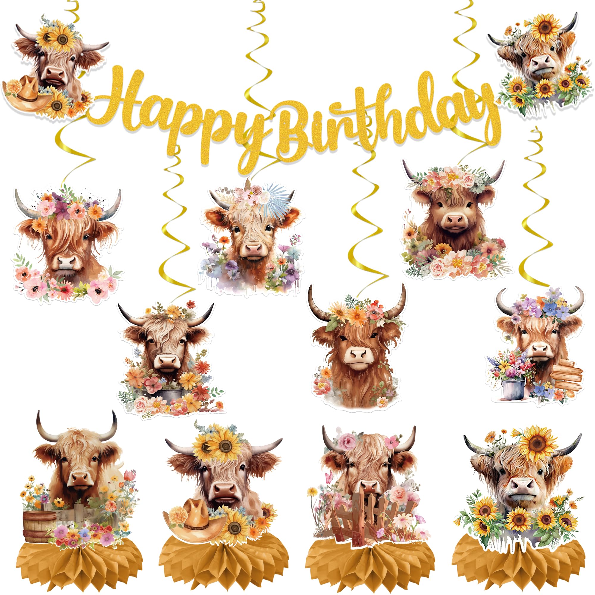 EoBeCy 19-Piece Highland Cow Birthday Party Decorations Set - Banner, Swirls, Honeycomb Centerpieces