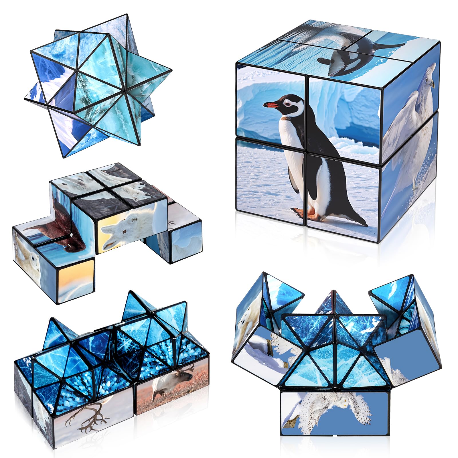 Euclidean Cube 2-in-1 Polar Animals Magic Cube Set – Fidget Toy & Yoshimoto Cube for Kids & Adults (Polar Series)