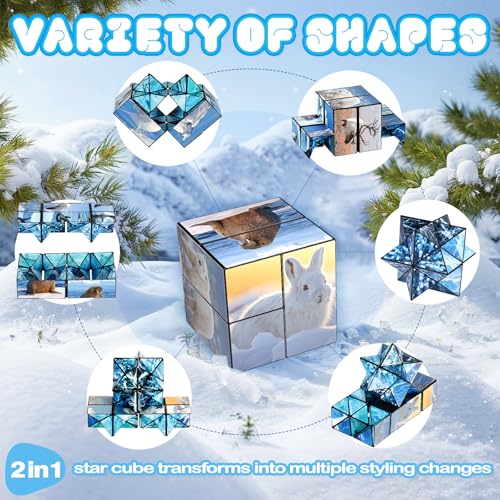 Euclidean Cube 2-in-1 Polar Animals Magic Cube Set – Fidget Toy & Yoshimoto Cube for Kids & Adults (Polar Series)