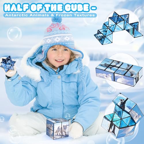 Euclidean Cube 2-in-1 Polar Animals Magic Cube Set – Fidget Toy & Yoshimoto Cube for Kids & Adults (Polar Series)