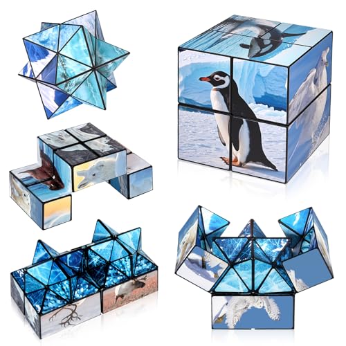 Euclidean Cube 2-in-1 Polar Animals Magic Cube Set – Fidget Toy & Yoshimoto Cube for Kids & Adults (Polar Series)