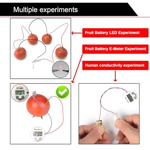 EUDAX Fruit Battery Science Experiment Kit – 4 Sets for DIY School Projects and Home Teaching