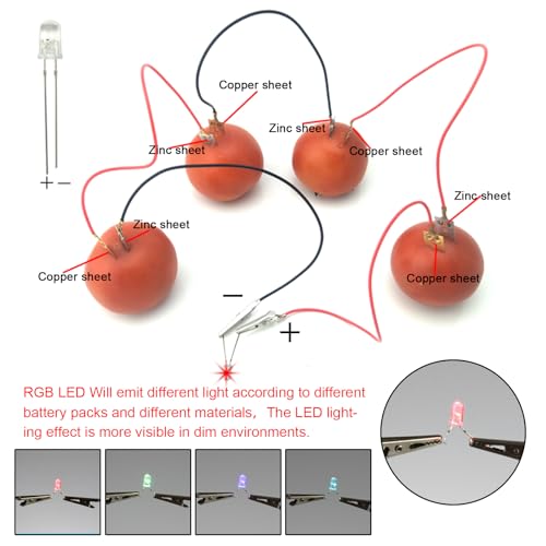 EUDAX Fruit Battery Science Experiment Kit – 4 Sets for DIY School Projects and Home Teaching