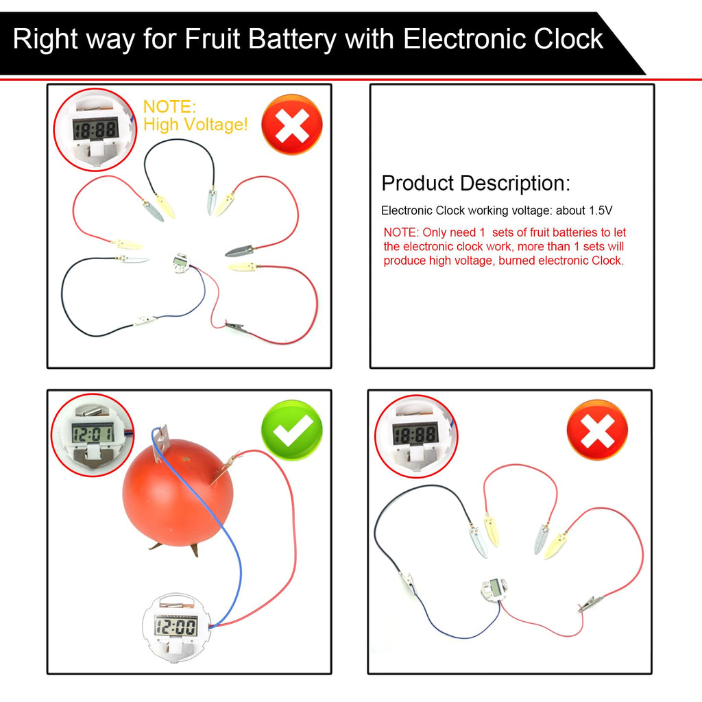 EUDAX Fruit Battery Science Experiment Kit – 4 Sets for DIY School Projects and Home Teaching