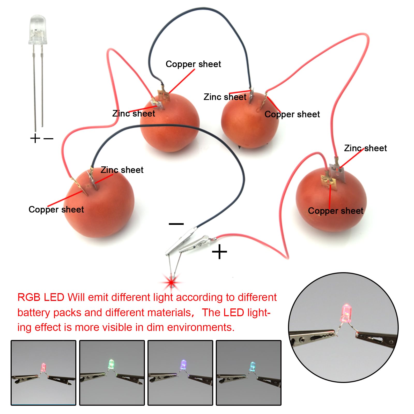 EUDAX Fruit Battery Science Experiment Kit – 4 Sets for DIY School Projects and Home Teaching