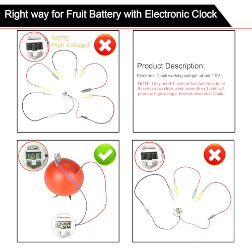 EUDAX Fruit Battery Science Experiment Kit – 4 Sets for DIY School Projects and Home Teaching