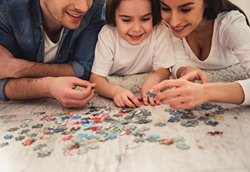 EuroGraphics USA Map 100-Piece Jigsaw Puzzle – Educational Geography Puzzle for Kids