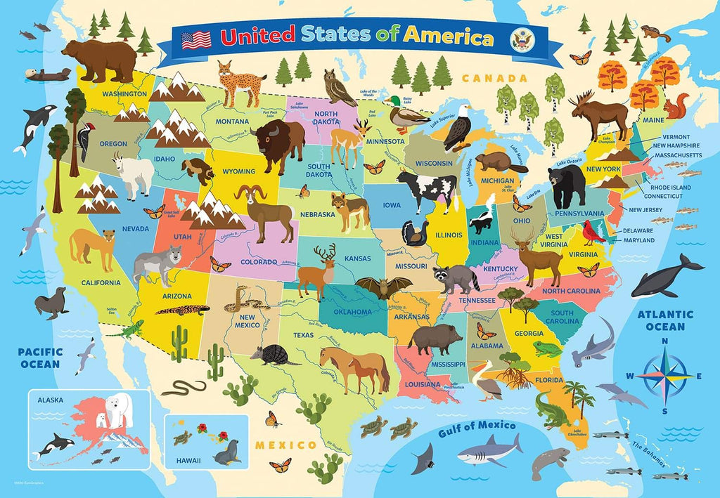 EuroGraphics USA Map 100-Piece Jigsaw Puzzle – Educational Geography Puzzle for Kids