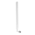 External WiFi Antenna for Smart Bird Feeder – RP-SMA Male, 7dBi, Compatible with NETVUE Birdfy