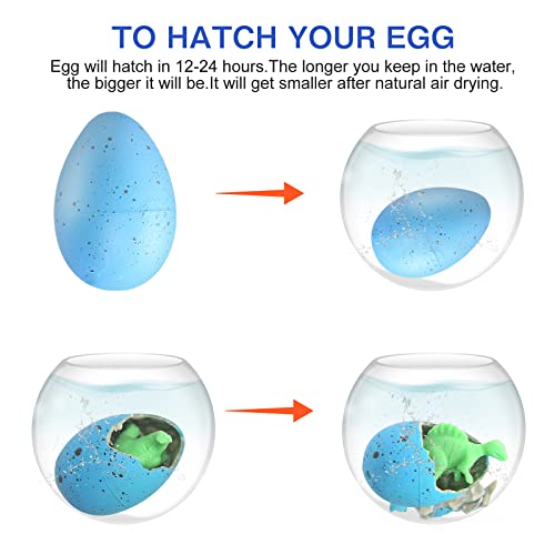 FASBET Dinosaur Hatching Eggs Party Favors – 24-Pack with Cards, Novelty Gifts for Kids