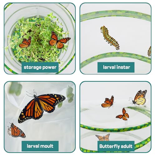 FCIHROSITCE Butterfly Habitat Mesh Cage – 12" x 14" Pop-up Insect Net for Raising Butterflies