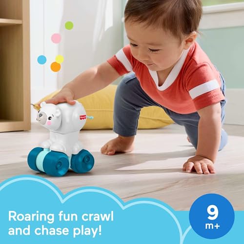 Fisher-Price Crawl-After Polar Bear: Press-and-Go Rolling Toy with Clicking Sounds and Soft Tail for Babies 9+ Months
