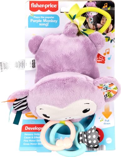 Fisher-Price Sing & Go Purple Monkey Stroller Toy with Crinkle & Clackers for Newborns