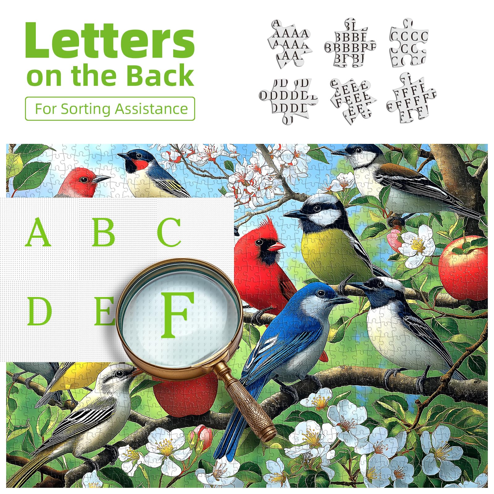Flowers Birds 1000 Piece Puzzle for Adults – Hummingbird Jigsaw with Poster and Sorting Letters