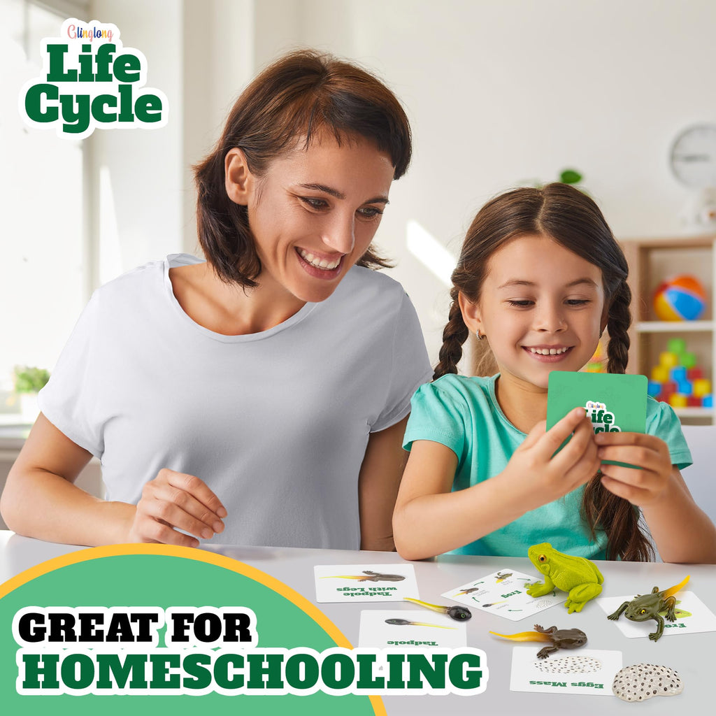 Frog Life Cycle Kit with Matching Cards – Montessori Animal Figurines for Ages 3-10