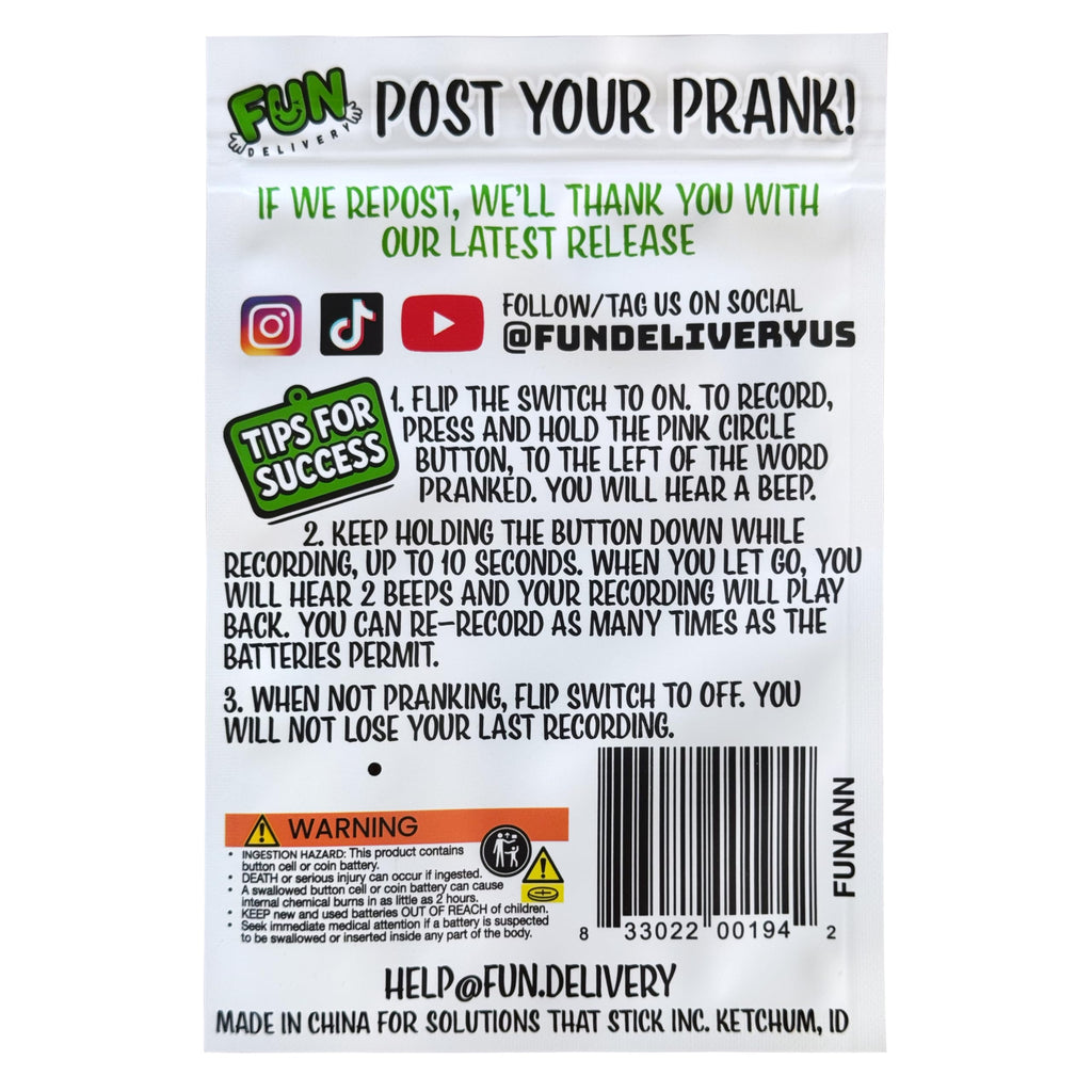 FUN delivery Recordable Prank Device – Hide Your Own Sound for Stealth Pranks