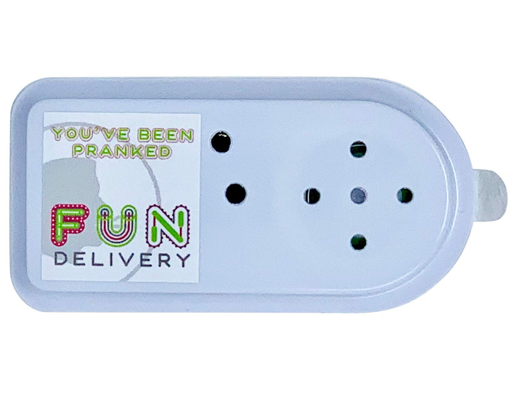 FUN delivery Recordable Prank Device – Hide Your Own Sound for Stealth Pranks