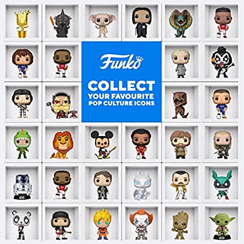 Funko Pop! Harry Potter Chamber of Secrets 20th Anniversary Collectible Vinyl Figure