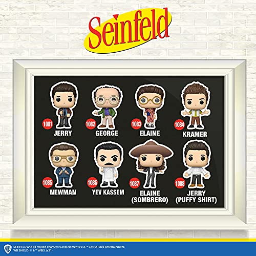 Funko POP Newman the Mailman Seinfeld Collectible Vinyl Figure