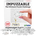 Funwares 100-Piece Clear Acrylic Puzzle – Insanely Hard Brain Teaser for Adults with False Edges