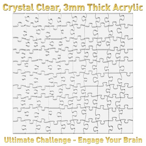 Funwares 100-Piece Clear Acrylic Puzzle – Insanely Hard Brain Teaser for Adults with False Edges