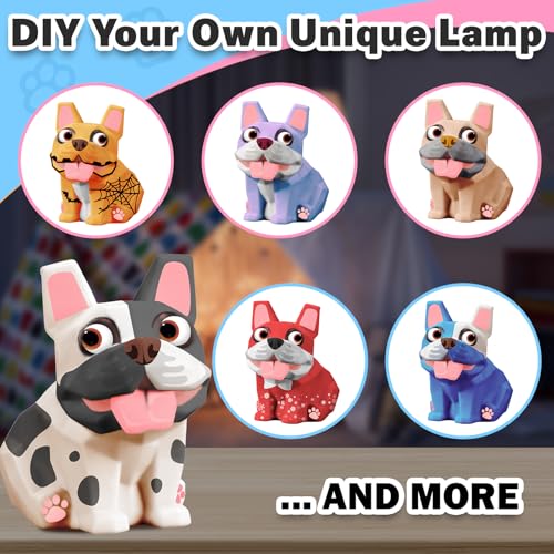 FUNZBO French Bulldog Paintable Night Light - DIY Art Craft Kit for Kids Ages 8-13