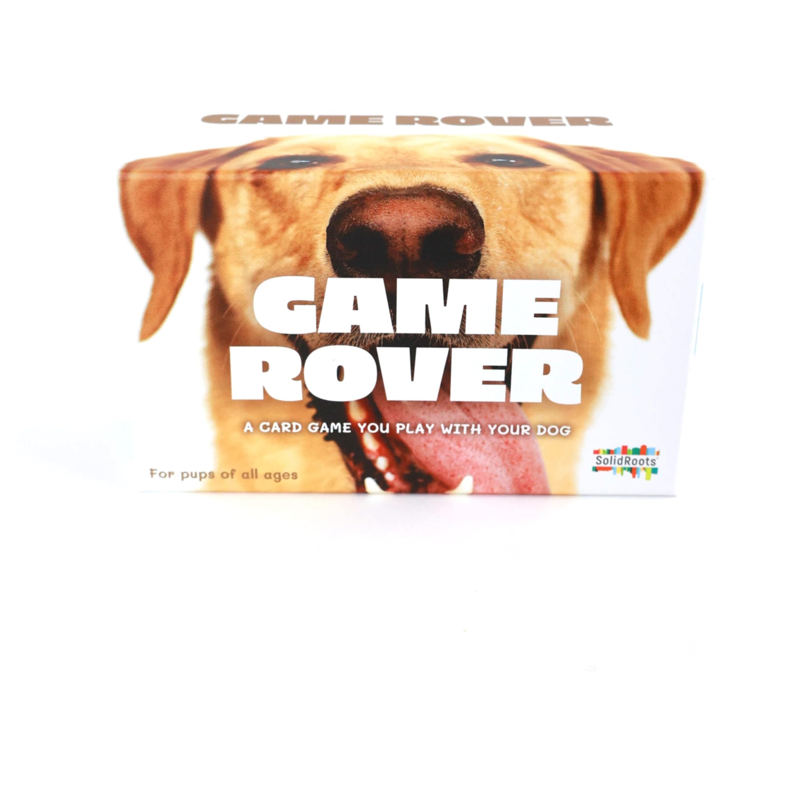 Game Rover: Interactive Dog Game for Family Game Night – Includes 75 Prompt Cards & Sand Timer