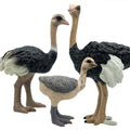 Gemini&Genius Ostrich Action Figure Set – Educational Jungle Animal Toys, Cake Toppers, Party Favors for Kids Ages 3+