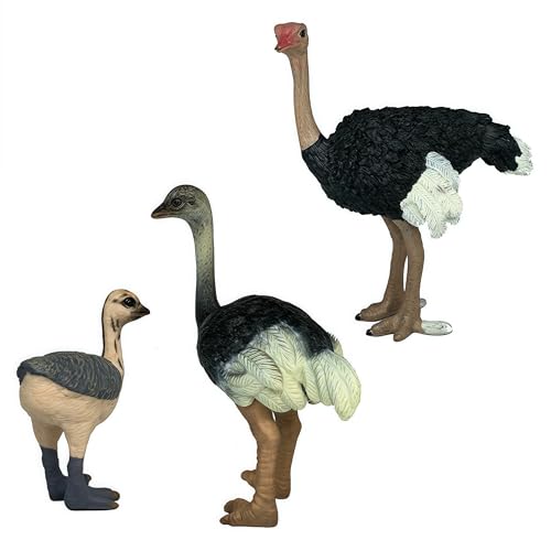 Gemini&Genius Ostrich Action Figure Set – Educational Jungle Animal Toys, Cake Toppers, Party Favors for Kids Ages 3+