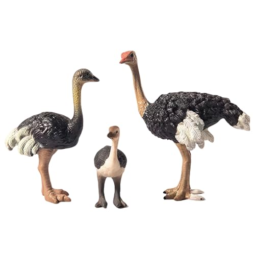 Gemini&Genius Ostrich Action Figure Set – Educational Jungle Animal Toys, Cake Toppers, Party Favors for Kids Ages 3+