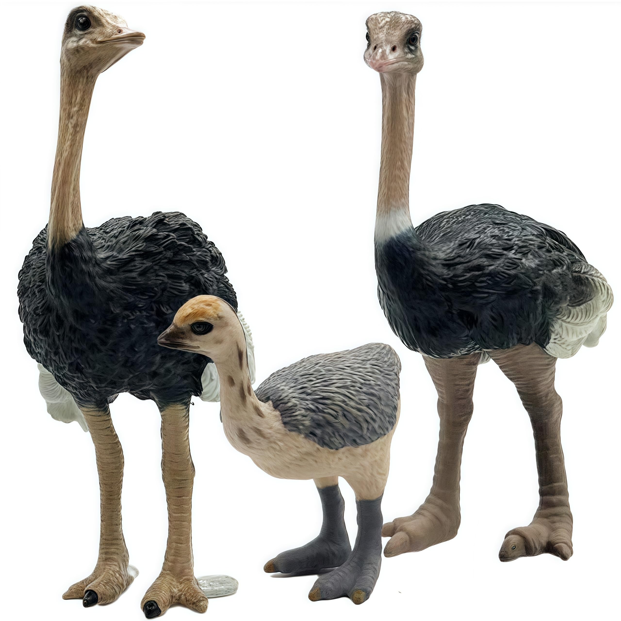 Gemini&Genius Ostrich Action Figure Set – Educational Jungle Animal Toys, Cake Toppers, Party Favors for Kids Ages 3+