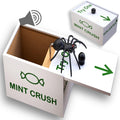 HALEEMS Spider Prank Box with Built-in Spooky Laugh – Solid Wood Candy Box Disguise, Fits Gift Cards & Money, Funny Gag Toy for Kids & Adults