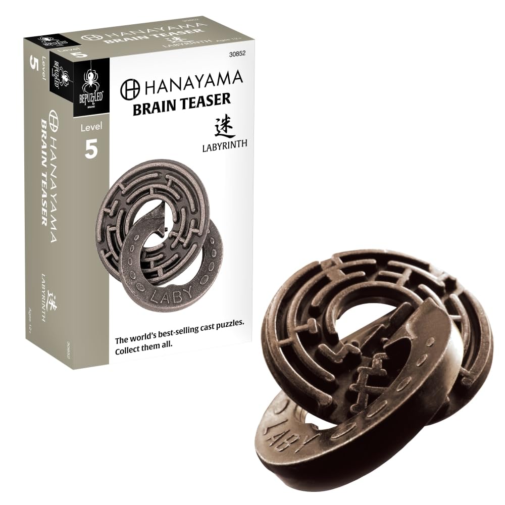 Hanayama Labyrinth Metal Brainteaser – Mensa Rated Level 5 Puzzle for Ages 12+