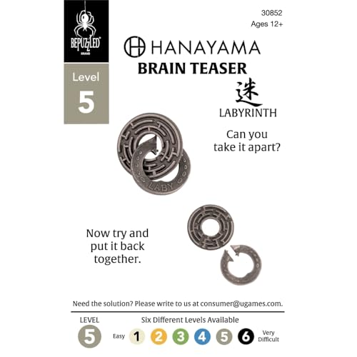 Hanayama Labyrinth Metal Brainteaser – Mensa Rated Level 5 Puzzle for Ages 12+