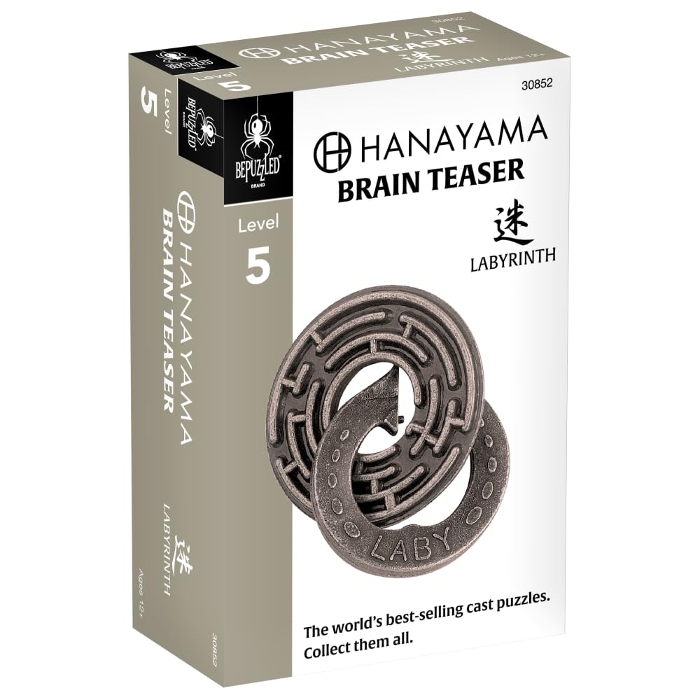 Hanayama Labyrinth Metal Brainteaser – Mensa Rated Level 5 Puzzle for Ages 12+