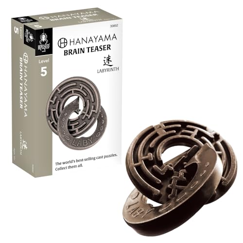Hanayama Labyrinth Metal Brainteaser – Mensa Rated Level 5 Puzzle for Ages 12+