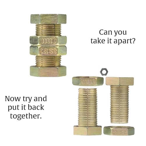 Hanayama Nutcase Metal Brainteaser Puzzle – Level 6 Mensa Rated Challenge by Oskar van Deventer