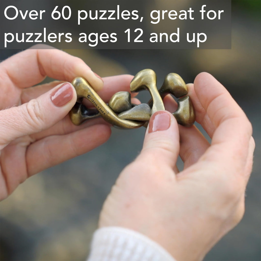Hanayama Planet Cast Metal Brain Teaser Puzzle - Level 4 Mensa-Rated Challenge for Ages 12+