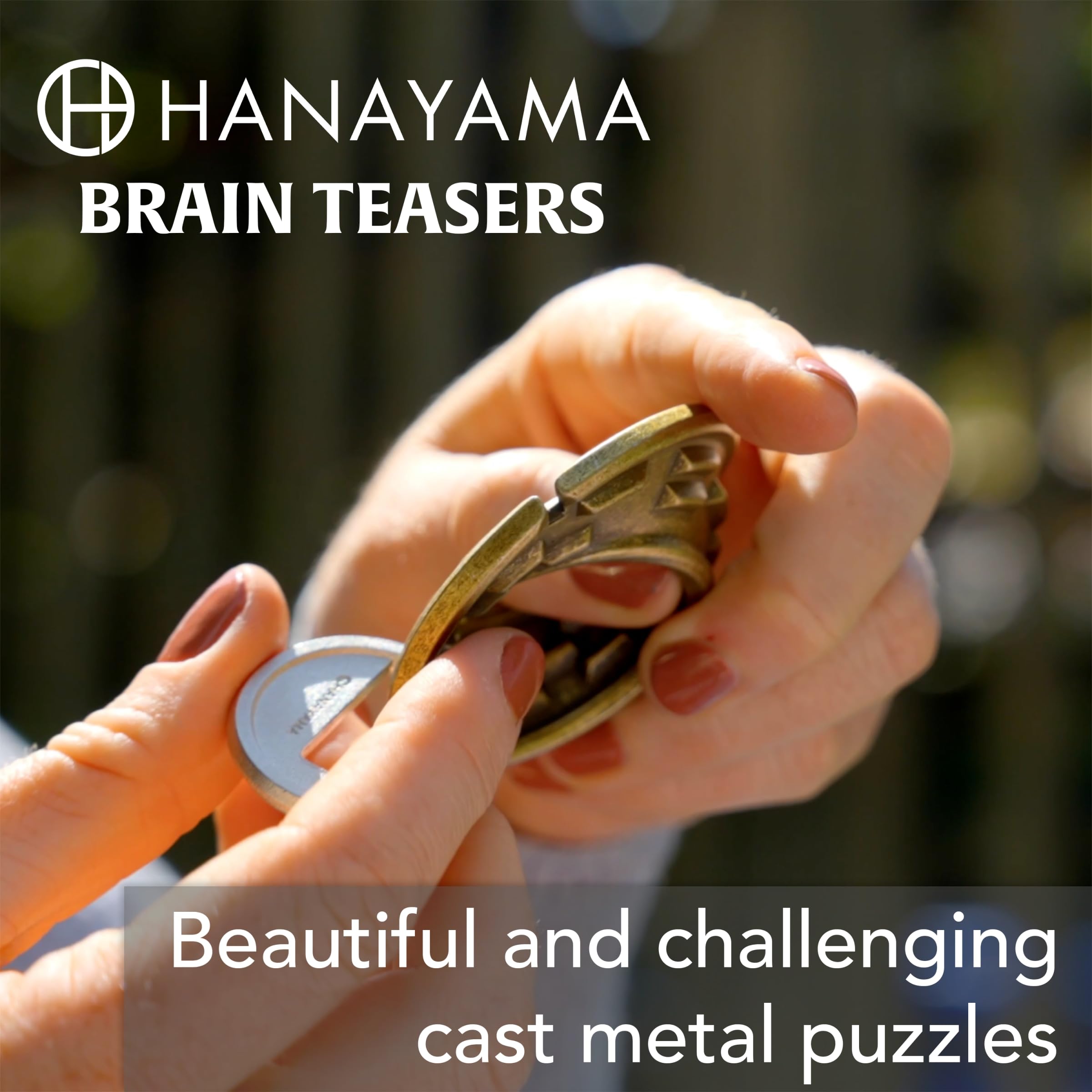 Hanayama Rotor Cast Puzzle – Level 6 Metal Brain Teaser (Mensa-Rated)