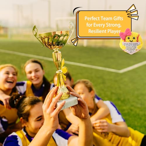 Handmade Crochet Softball Gift with Motivational Card – Rimvoe