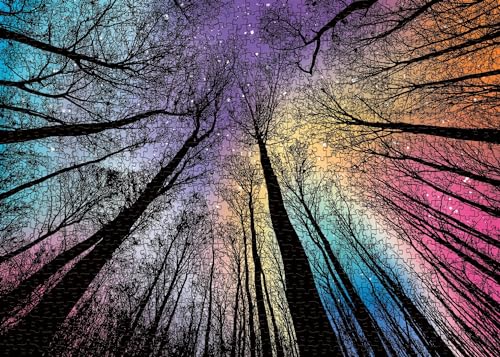 Hard 1000 Piece Gradient Jigsaw Puzzle – Challenging Colorful Puzzle for Adults