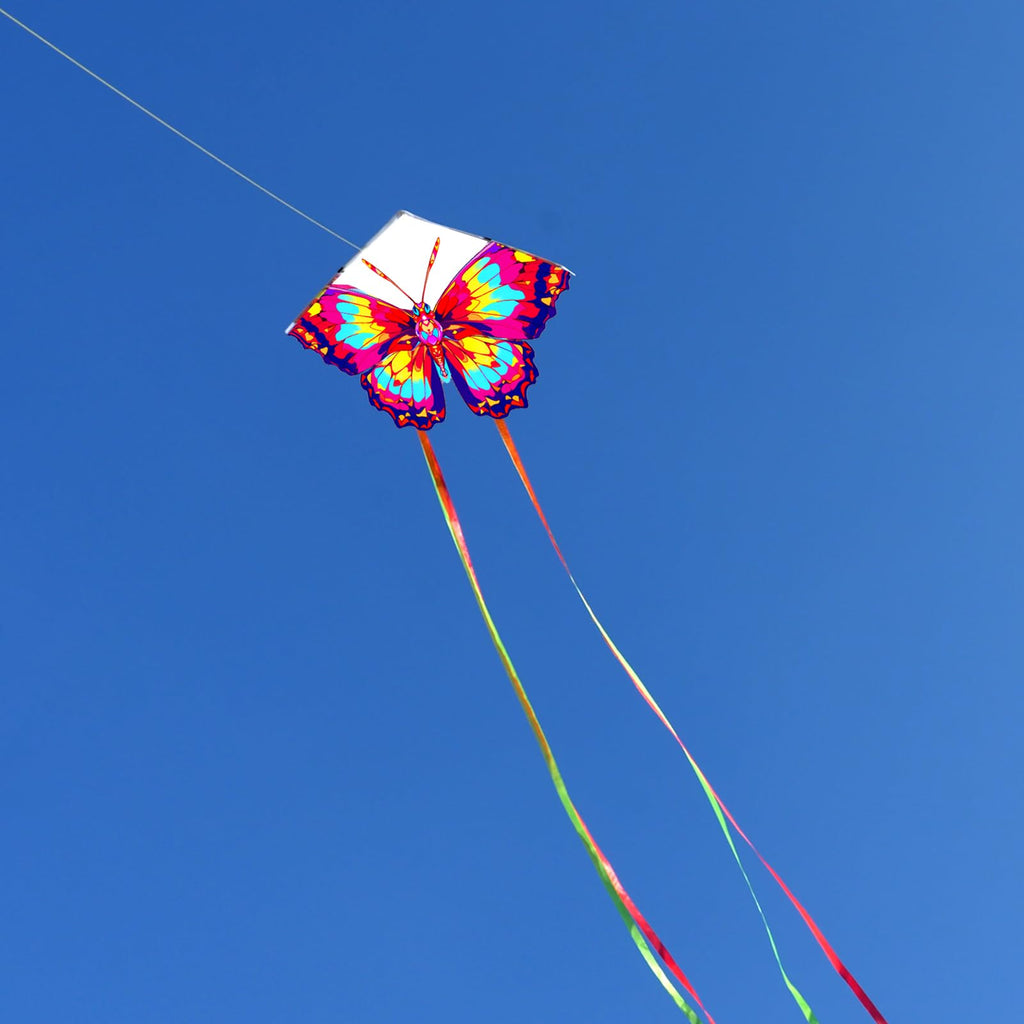 HENGDA KITE 2-Pack Butterfly Kite for Beginners - Easy to Fly, Nylon, Pink, 53 inch