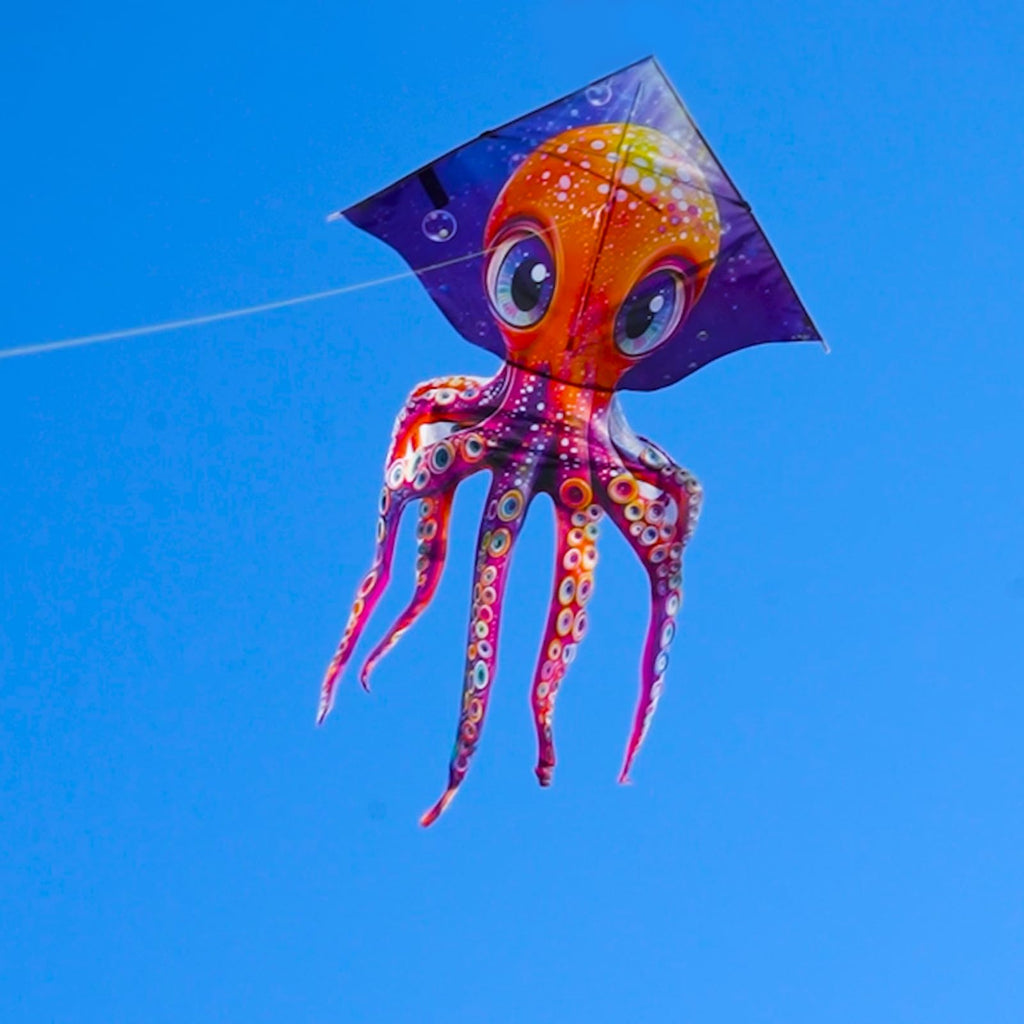 HENGDA KITE Octopus Kite – 37x65 Inch, Easy to Fly for Kids and Adults