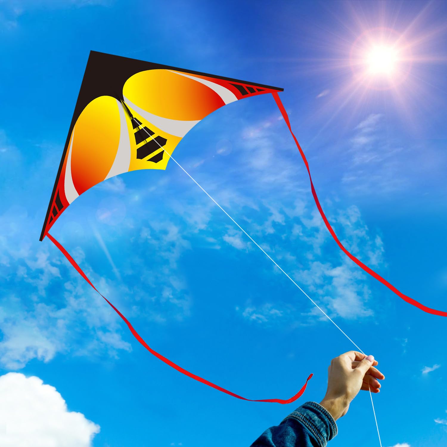 HONBO Large Delta Kite for Beginners – 60x30 Inch with 200ft Line and Tails