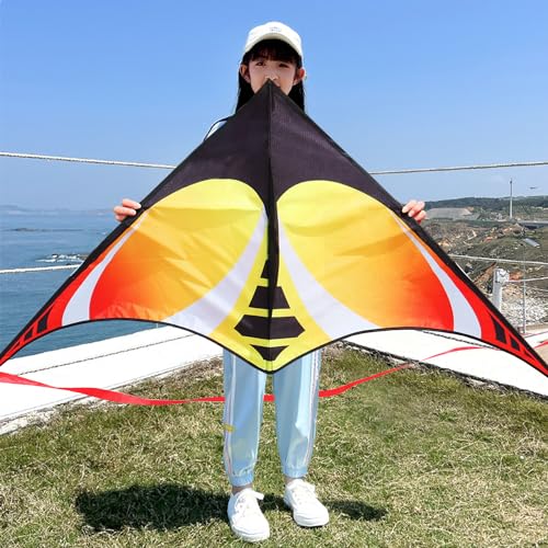 HONBO Large Delta Kite for Beginners – 60x30 Inch with 200ft Line and Tails