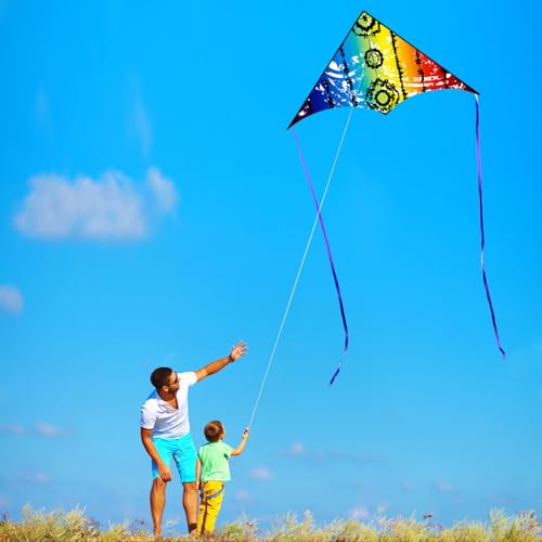 HONBO Large Delta Kite for Kids & Adults – Easy to Fly with Colorful Tail